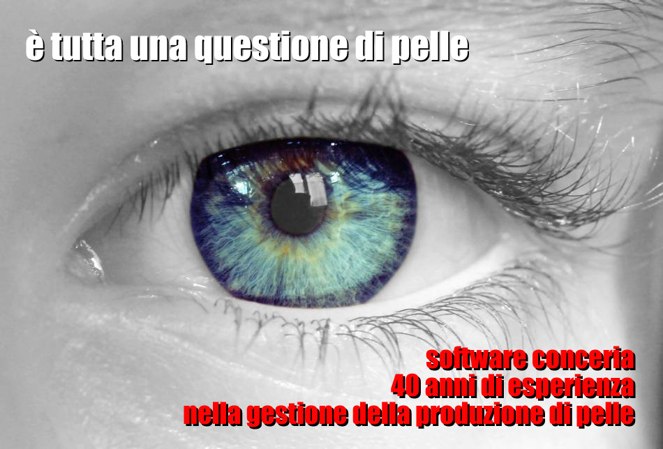 immagine relativa a Software conceria - La gestione della propria pelle